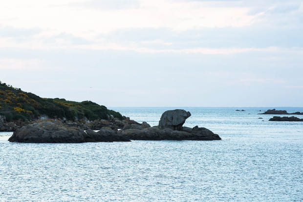 Un éléphant solitaire