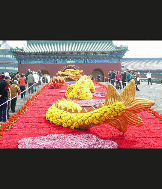 Un dragon de fleurs