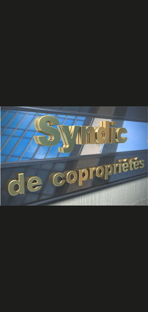 Comment le syndic est-il choisi&nbsp;?