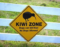 Découvrir le monde : Nouvelle-Zélande, culture nature