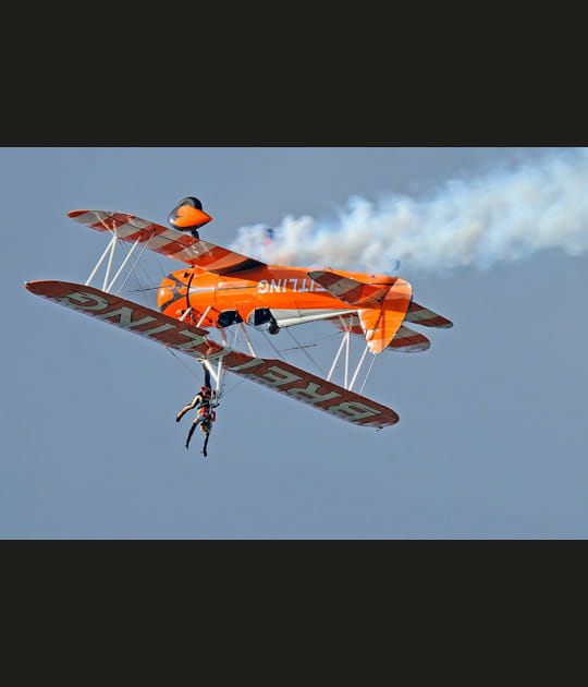 La chatte sur un toit br&ucirc;lant