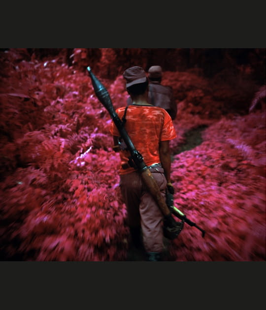 Dans la jungle