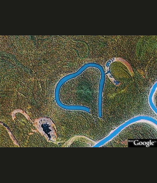 Au coeur de la jungle