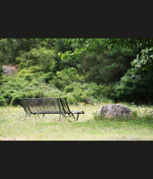 Banc solitaire n&deg;52