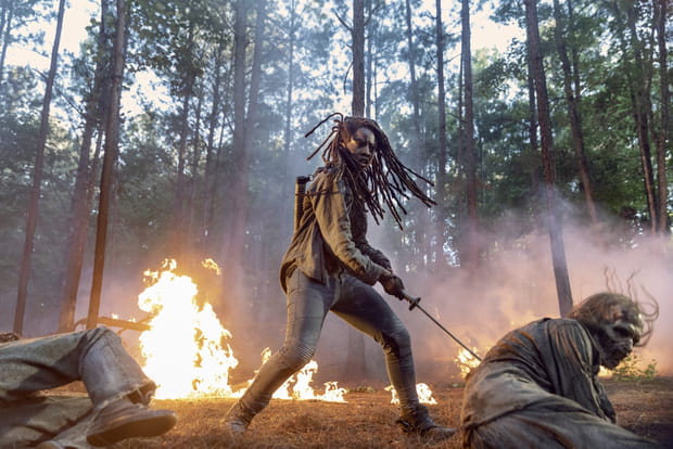 Michonne la guerrière