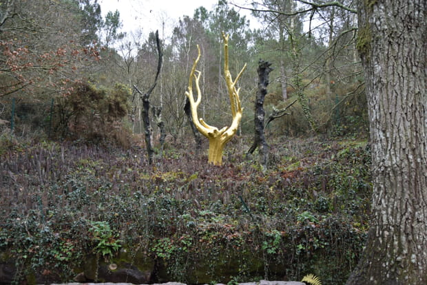 La forêt de Brocéliande
