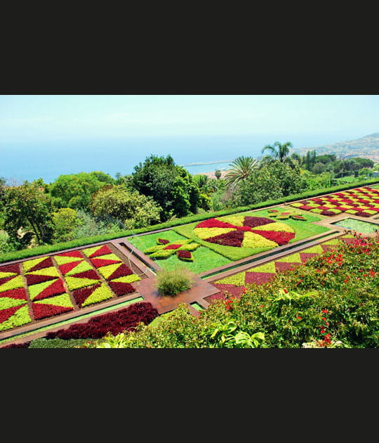 Le jardin botanique