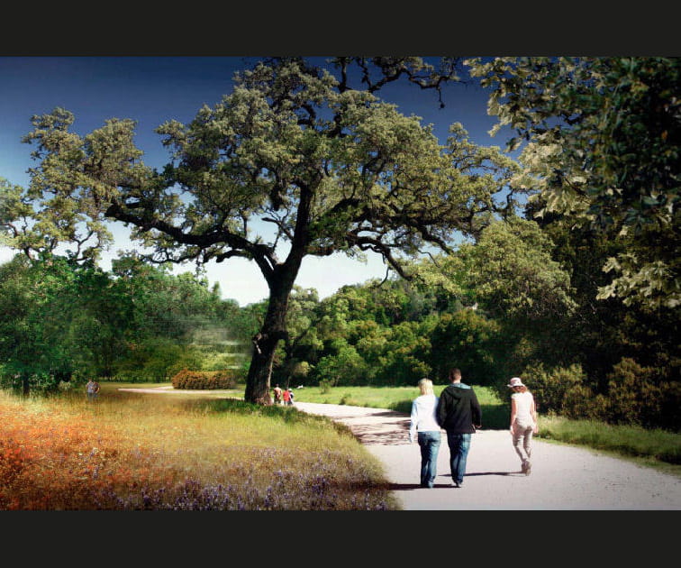 6&nbsp;000&nbsp;arbres