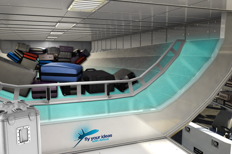 Un cousin d'air au lieu des containers pour bagages en soute