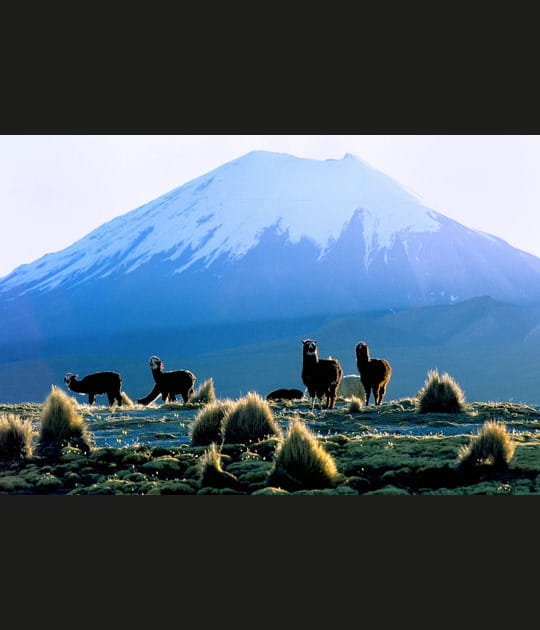 Le jour d&eacute;cline au parc de Sajama
