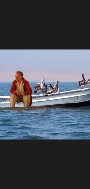 Au large en compagnie de p&eacute;licans