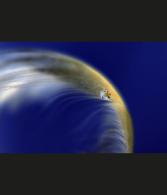 Plan&egrave;te bleue