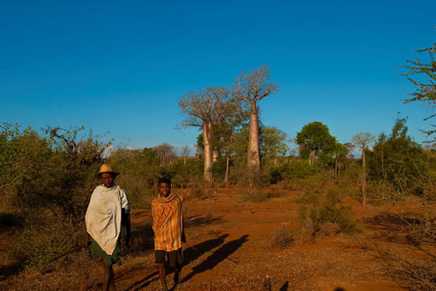 Une déforestation croissante
