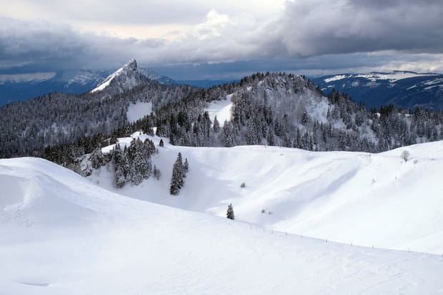 La Grande Chartreuse