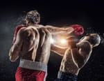 Boxe : Championnat du monde WBO