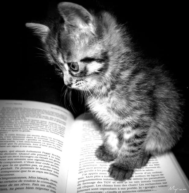 Cinquante nuances de Lettres...