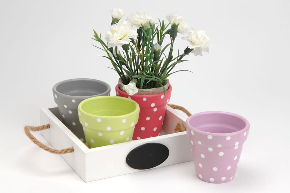 Pots &agrave; pois Clothilde