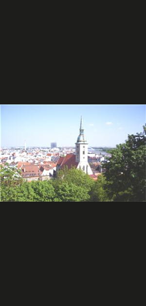 8e - Slovaquie&nbsp;: 77,4&nbsp;%&nbsp;de&nbsp;propri&eacute;taires