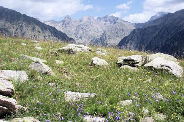 Le parc national du Mercantour