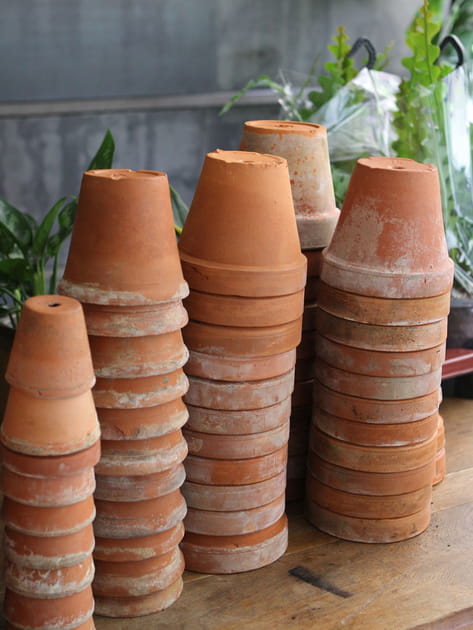 Choisir le pot