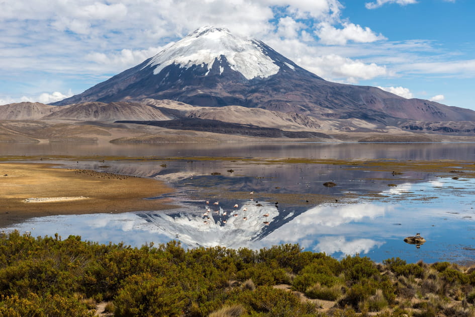 Le parc national Lauca
