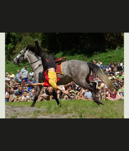 Spectacle &eacute;questre
