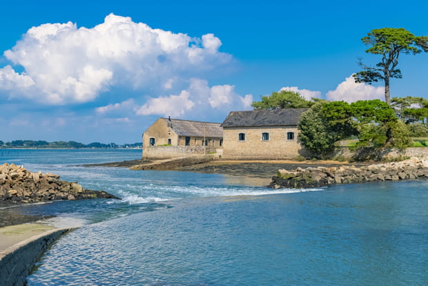 L'île de Berber, un joyau méconnu en Bretagne