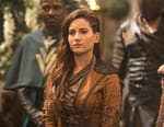 Les chroniques de Shannara