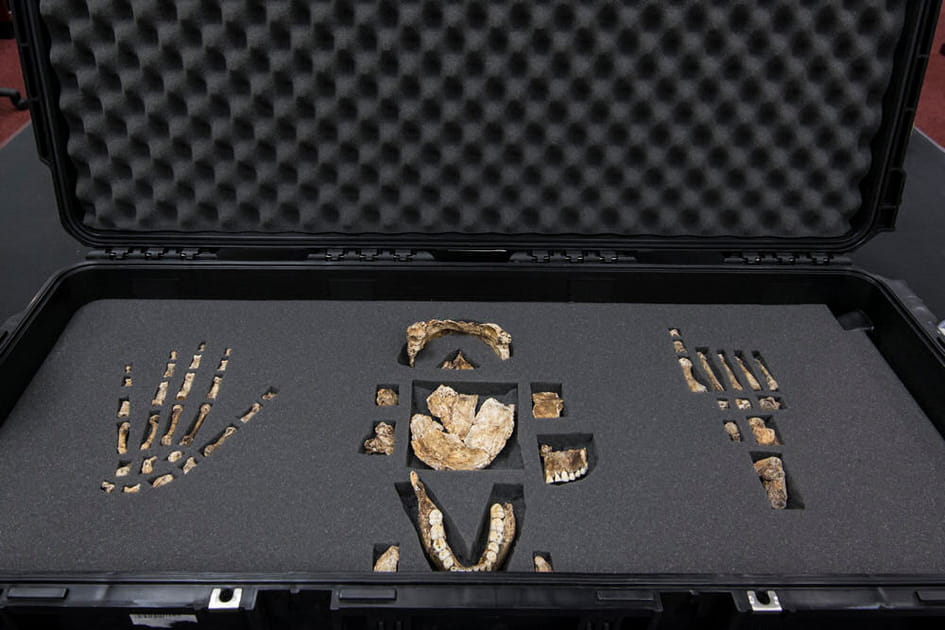 Questions sur son&nbsp;comportement