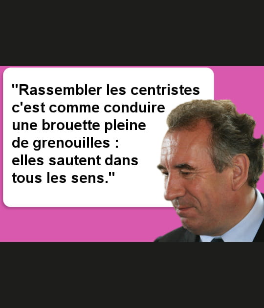 Bayrou et les grenouilles