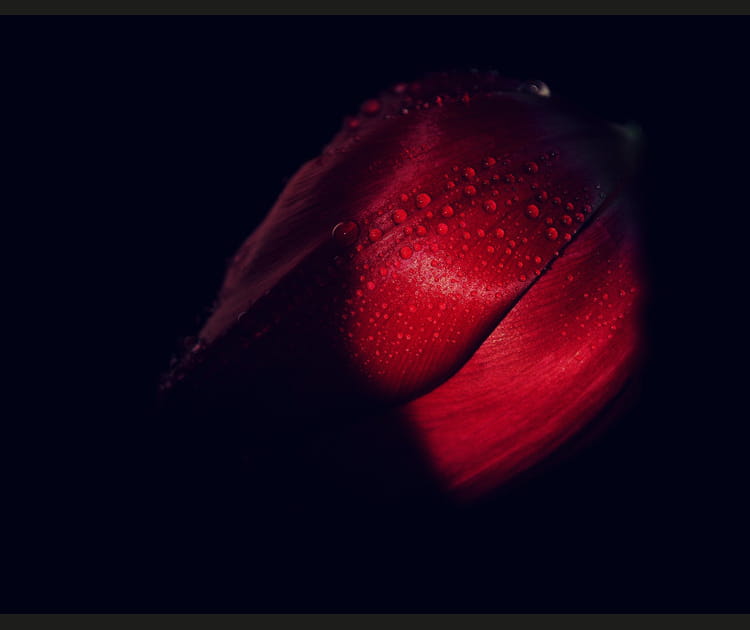Ombre sensuelle