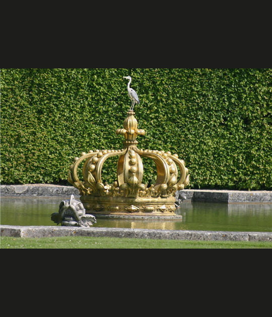 H&eacute;ron perch&eacute; sur la couronne