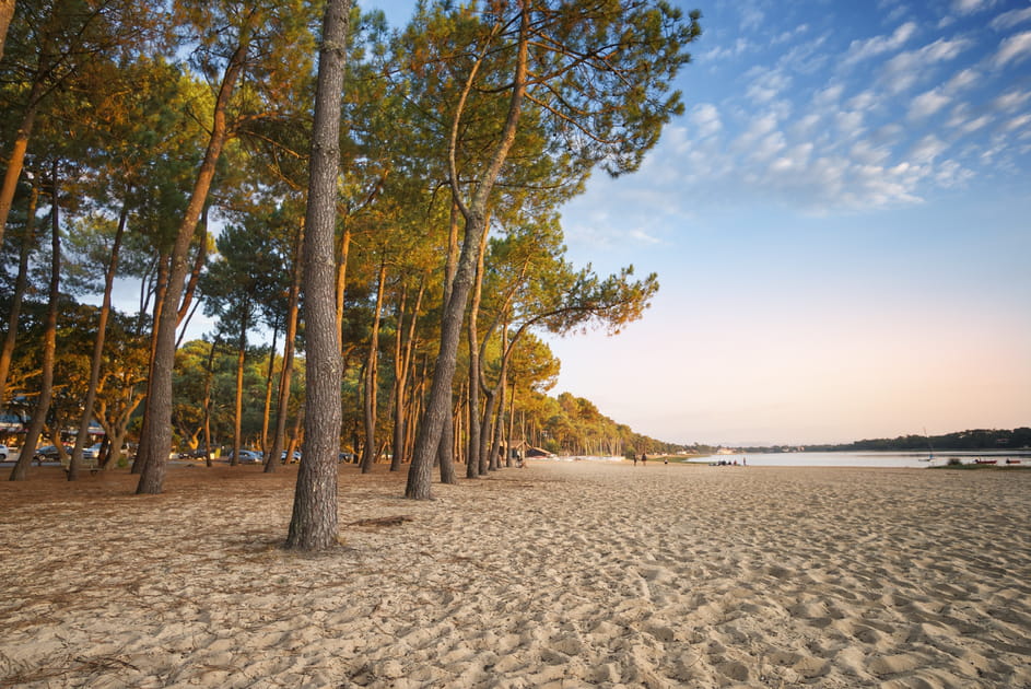 Les Landes, une destination grande ouverte sur l'oc&eacute;an