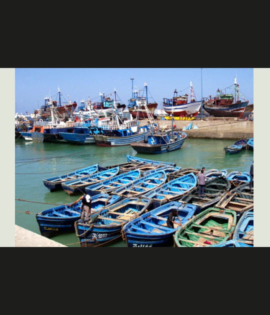 Les barques bleues d'Essaouira