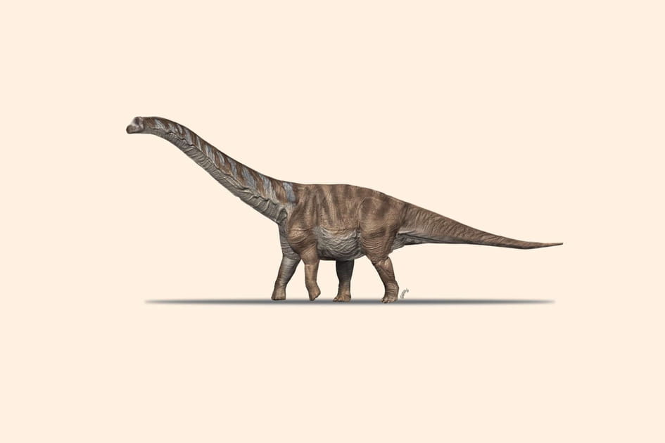 Ces&nbsp;dinosaures incroyables ont &eacute;t&eacute; d&eacute;couverts derni&egrave;rement&nbsp;: le plus grand titanosaure en Europe