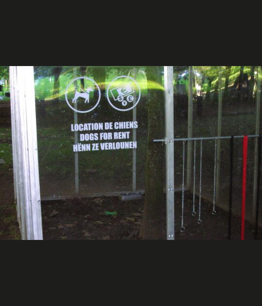 Location de chiens