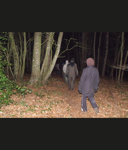 L'orientation de nuit