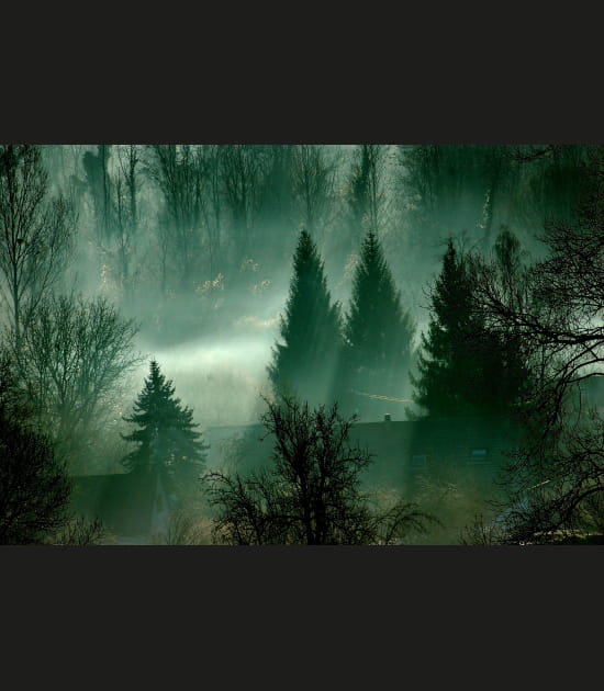 La vall&eacute;e du Th&eacute;rain au petit matin