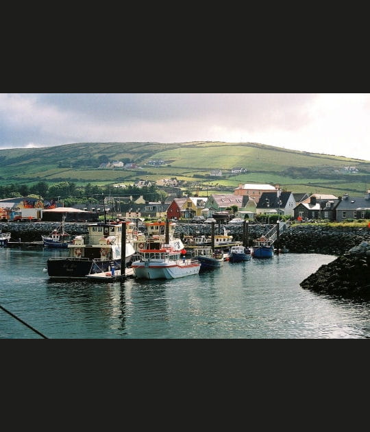 Le port de Dingle