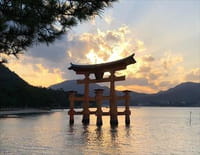 Sur la piste des senteurs : Japon d'Hiroshima à Yakushima