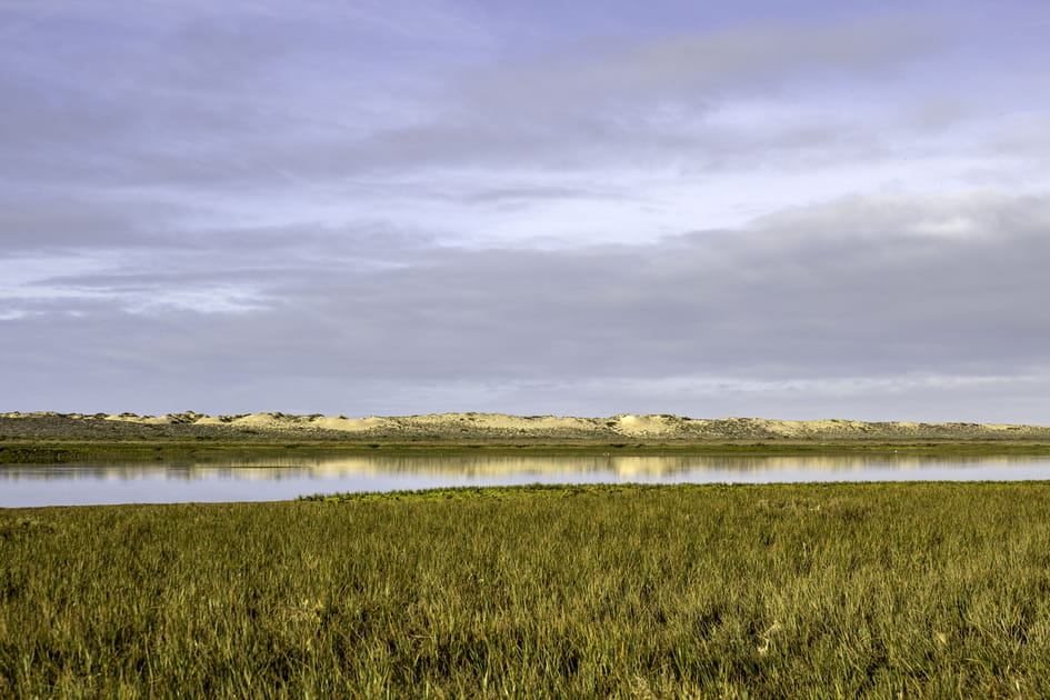 Ria Formosa, paradis naturel de l'Algarve