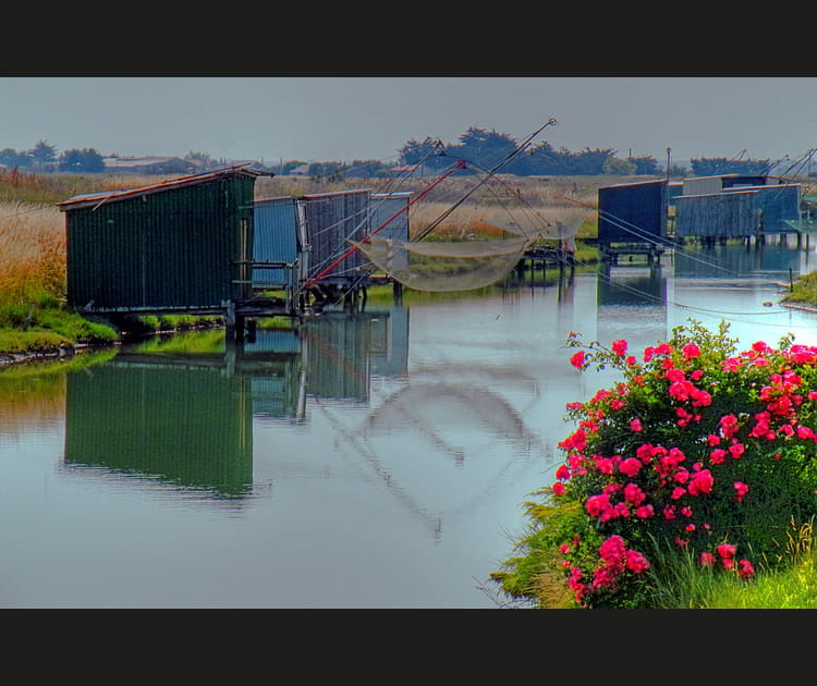 Le Marais breton