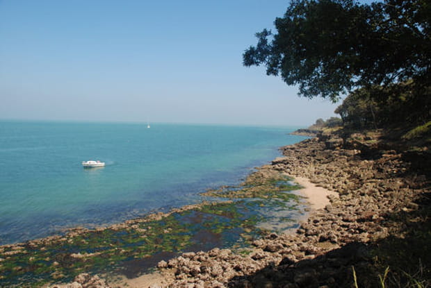 L'île d'Aix