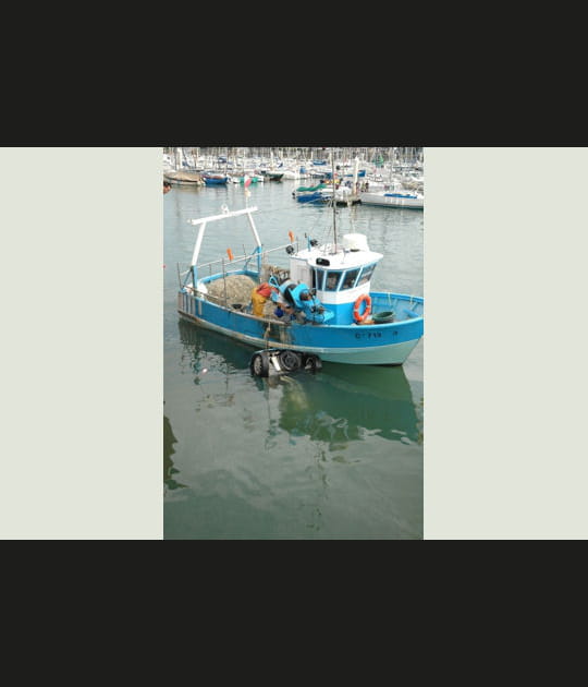 P&ecirc;che au gros
