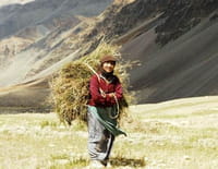 Himalaya, la terre des femmes